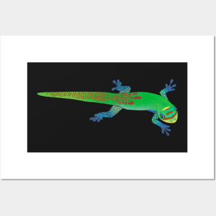 Gold Dust Day Gecko Posters and Art